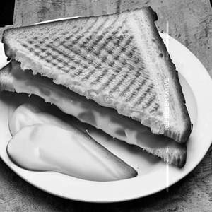 Cheese Sandwich 