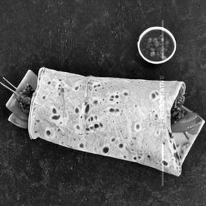 Arabic Buff Roast Wrap