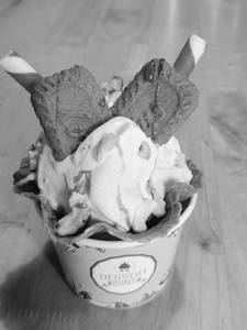 Lotus Bisccoff