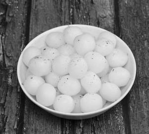 Small White Rasgulla