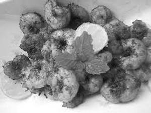 Prawn fry