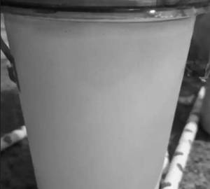Lychee Juice