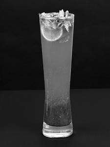 Cranberry Mojito