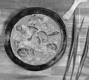 Mushroom Xacuti