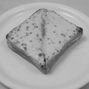 Premium Sandwich