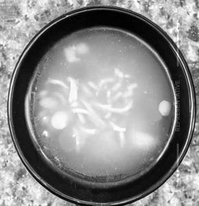 Clear Chicken Soup
