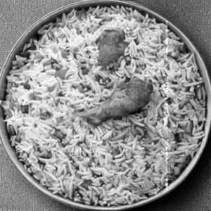 Chicken Combination Rice