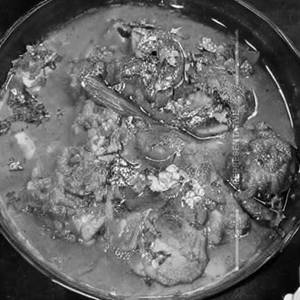 Goan Fish bowl