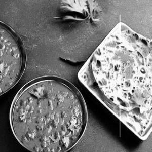 Moong matki gravy