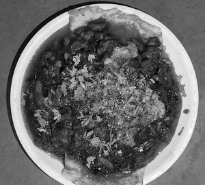 Chicken Patiala