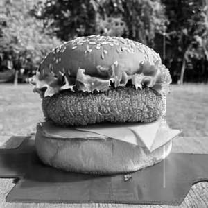 Crispy Paneer Burger