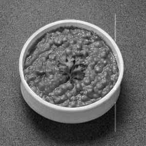Plain Dal
