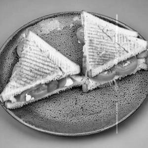 Cheese Tomato Sandwich