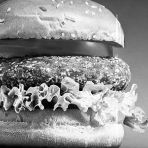 Cheese & Salad Burger
