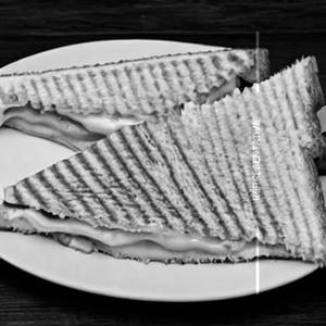 Cheese Sandwich     