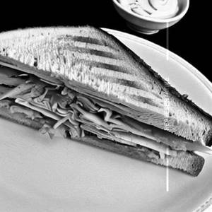 Club Tuna Fish Sandwich