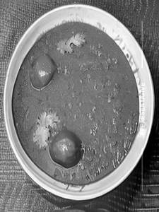 Kadai Panneer Gravy