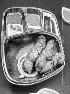 Chicken Banjara Kabab