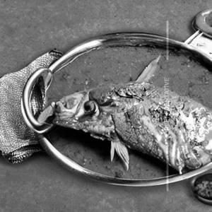 Surmai Chettinad Fish
