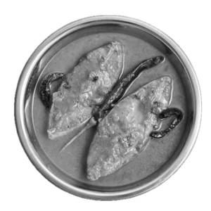 Spicy Fish Kolhapuri