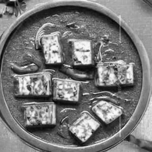 Paneer Garlic