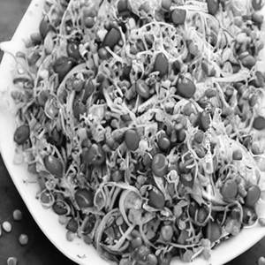 Home Made Mix Sprout Salad