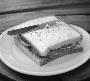 Vegg Delight Cheese sandwich