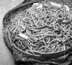 Paneer Noodles