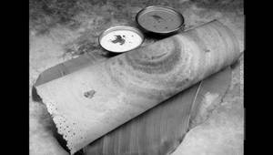 Kadapa Karam Dosa