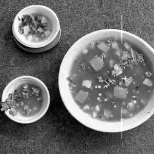 Mixed Talumein Soup