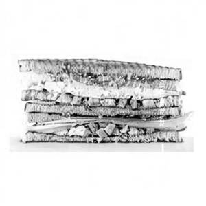 Paneer Tikka Cheese Sandwich