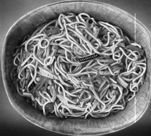Egg Noodles
