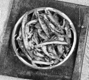 Mushroom Pepper Fry