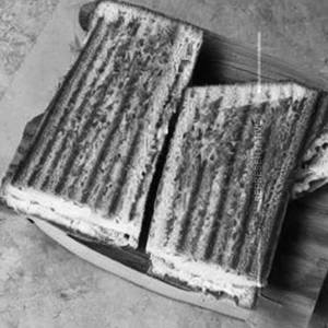 Sandwich Bread
