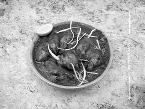 Chicken Jaipuri          