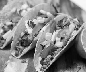 MUSHROOM CORN TACO