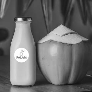 Coconut Malai Milkshake