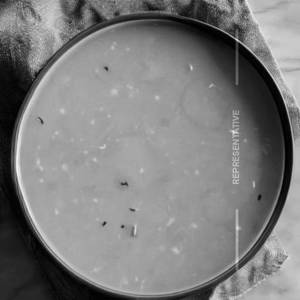 Plain Soup