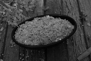 Veg Fried Rice