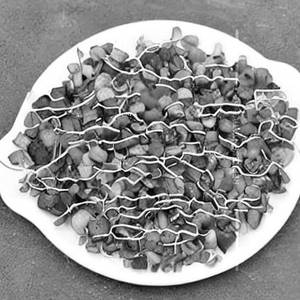 Mix Sprouts