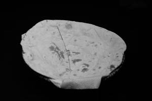 Tandoor Roti
