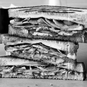 Veg Club Toasted Sandwich