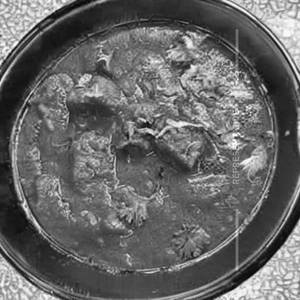 Kokra Koi Mashoo