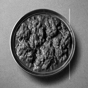 Beef Kudal