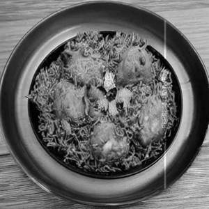 Idiyappam Chicken Kothu Curry