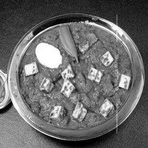 Shahi Paneer Matar