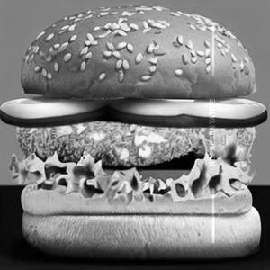 Cheese Chicken Burger