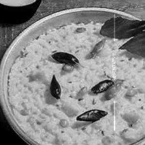 Curd Rice