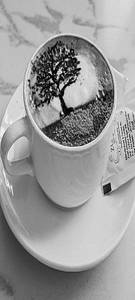 Cappuchino