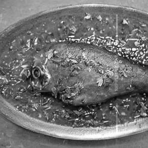 Pepper Fish